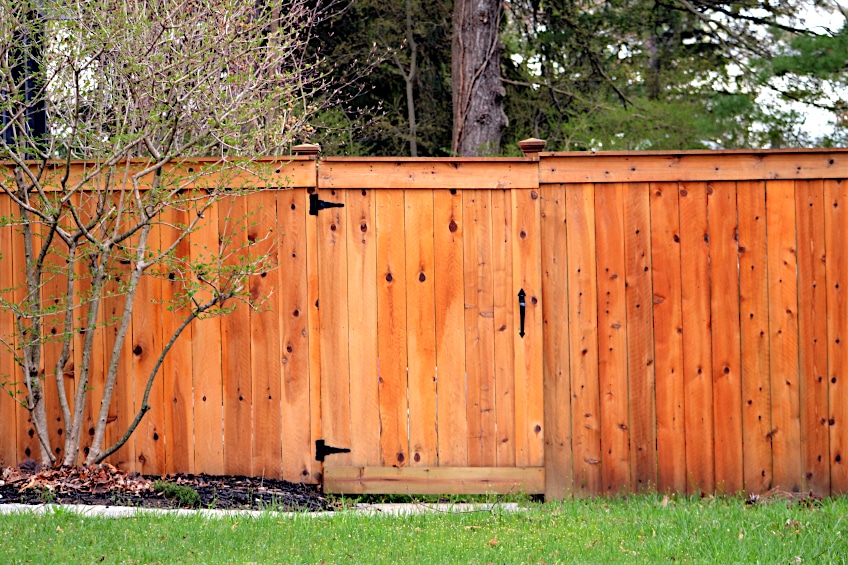 Well Maintained Wooden Fence